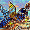 lake erie loons 