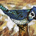 the blue jay